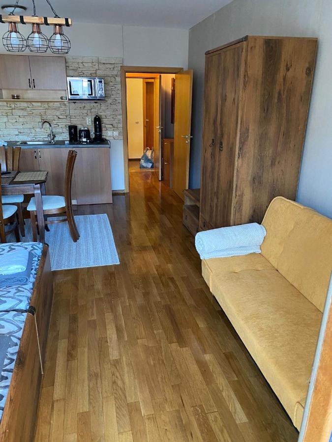 Bansko Spa Studio At Predela1 Екстер'єр фото