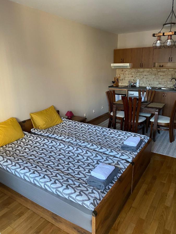 Bansko Spa Studio At Predela1 Екстер'єр фото